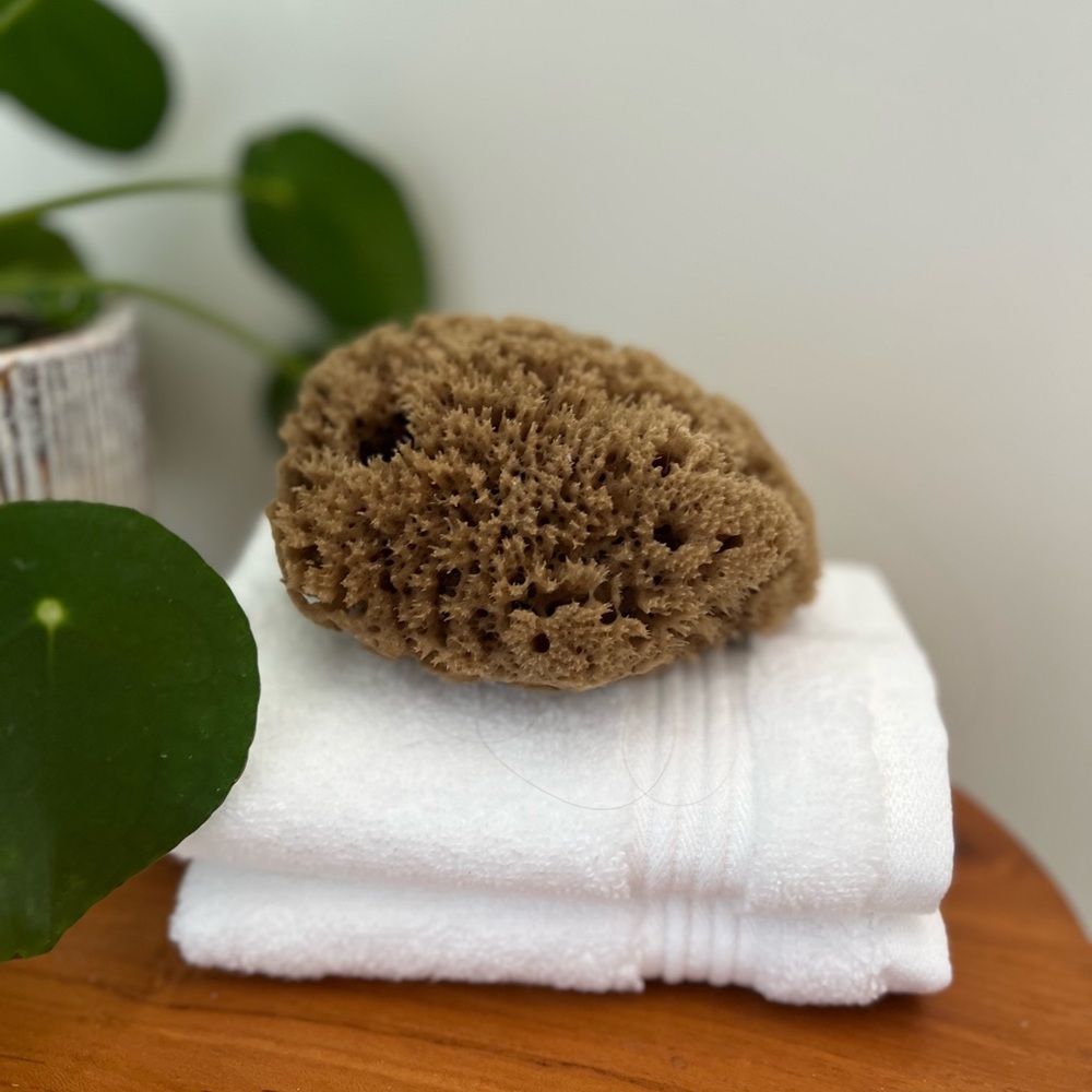 Natural Bath Sponge